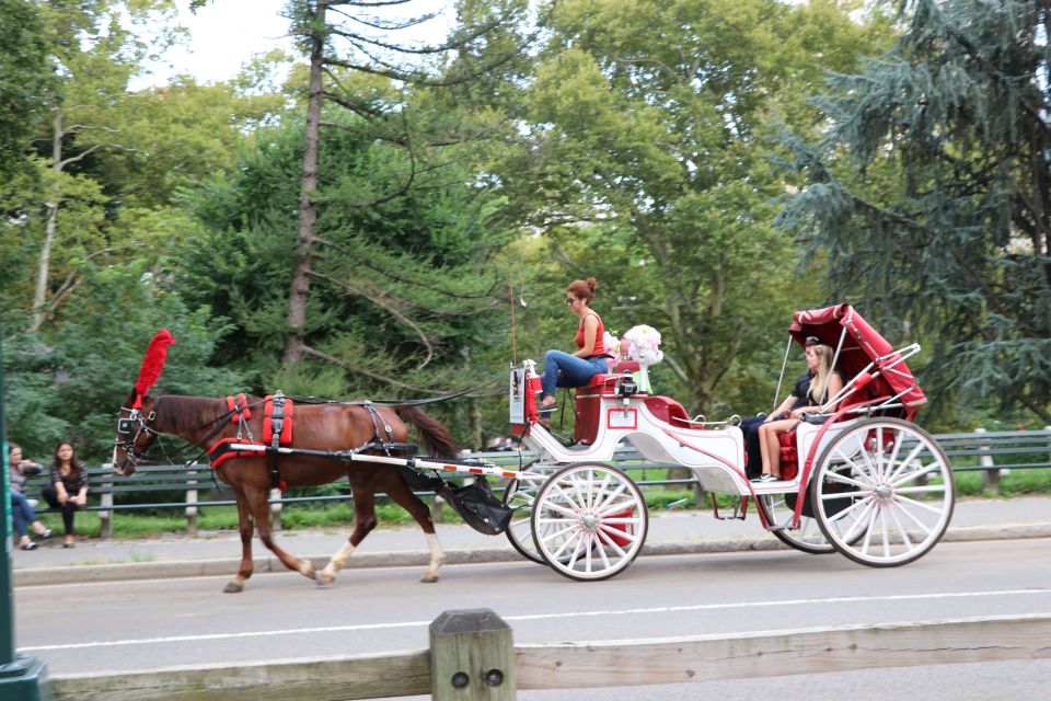 Central Park: Short Horse Carriage Ride (Up to 4 Adults) - Customer Reviews