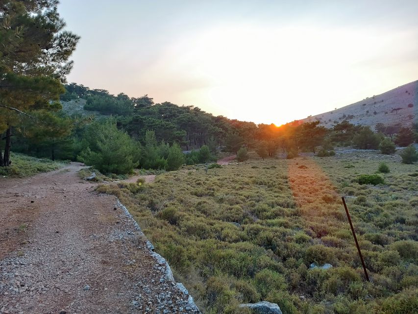 Chios: Private Sunset Hiking Tour to Lithi Beach - Logistics
