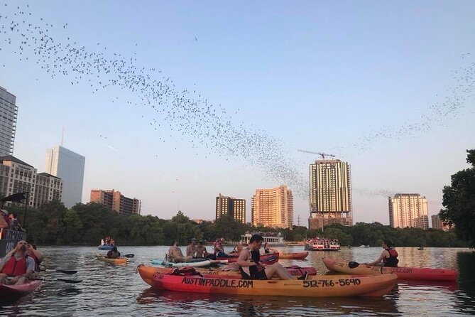 Congress Avenue Bat Bridge Kayak Tour in Austin - Booking Information