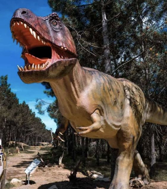 Dinosaurs Park - Family Half Day Tour - Inclusions