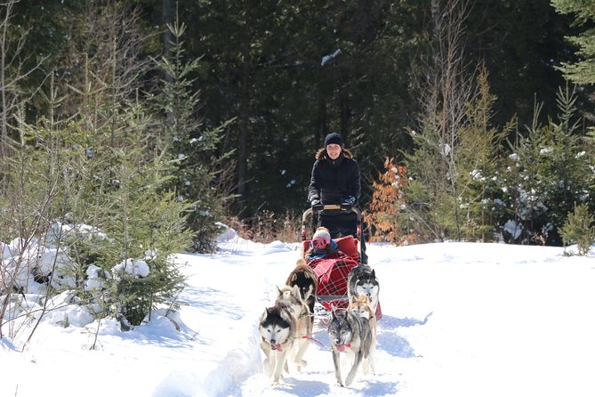Dogsled Adventure in Mont-Tremblant - Physical Requirements and Restrictions