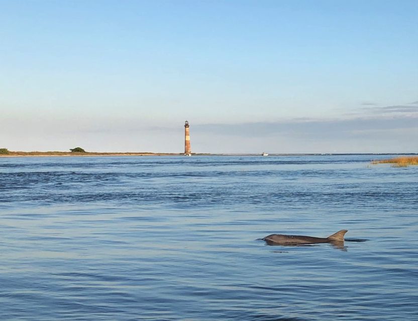 Dolphin Sighting & Shelling Cruise to Historic Morris Island - Meeting Point