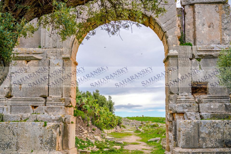 Dougga & Bulla Regia Private Full-Day Tour With Lunch - Customer Reviews