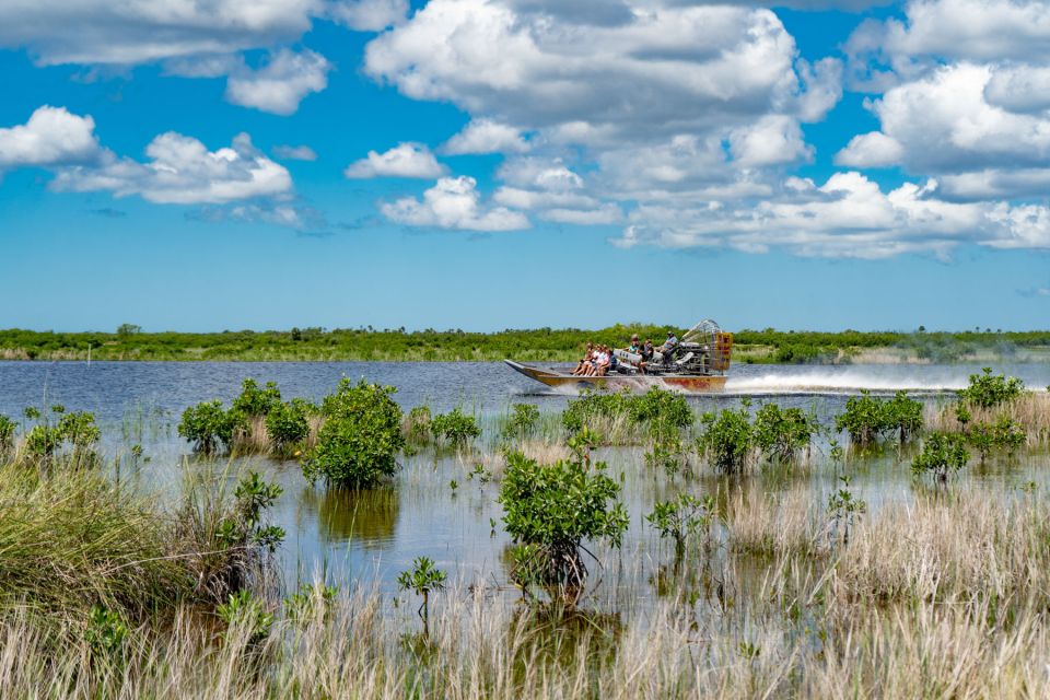 Everglades: Guided Kayak and Airboat Tour - Review Summary
