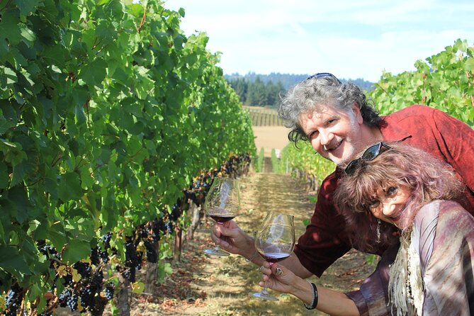 Explore the Wines of Oregons Willamette Valley - Tips for Wine Enthusiasts