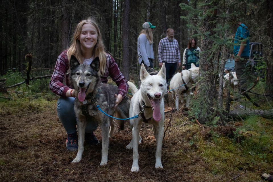 Fairbanks: Summer Mushing Cart Ride and Kennel Tour - Directions