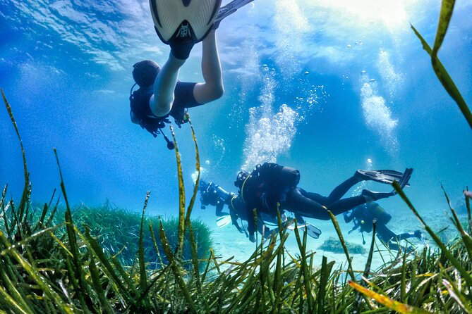 First Dive for 60 Minutes in Théoule-Sur-Mer - Additional Details