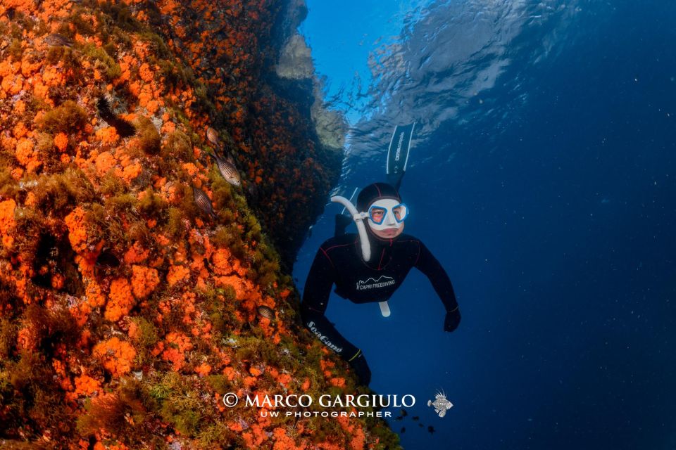 Freediving in the Wild of the Amalfi Coast/Capri/Sorrento: - Restrictions