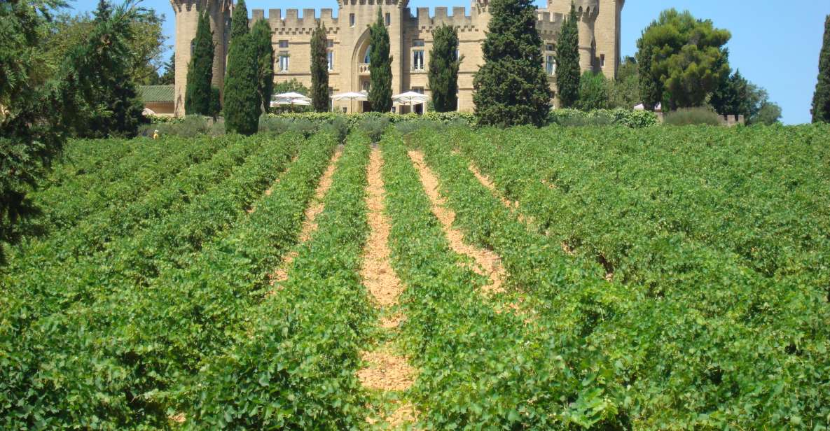 From Aix-En-Provence: Châteauneuf Du Pape Wineries Day Trip - Practical Information
