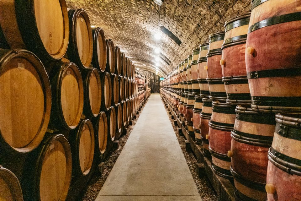 From Beaune: Burgundy Day Trip With 12 Wine Tastings - Scenic Vineyard Drive