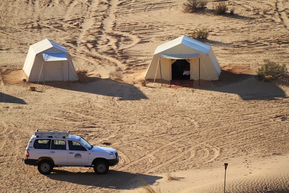 From Douz: Overnight Safari in Tunisian Sahara Desert - Customer Reviews