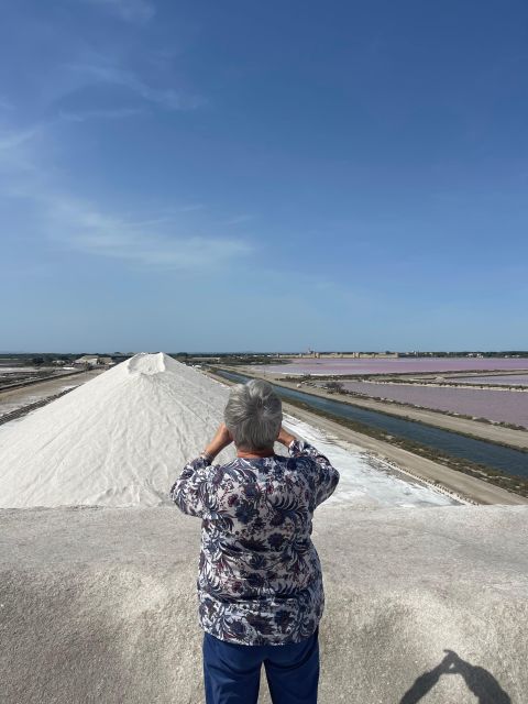 From Montpellier: Camargue and Salt Marshes Guided Tour - Inclusions