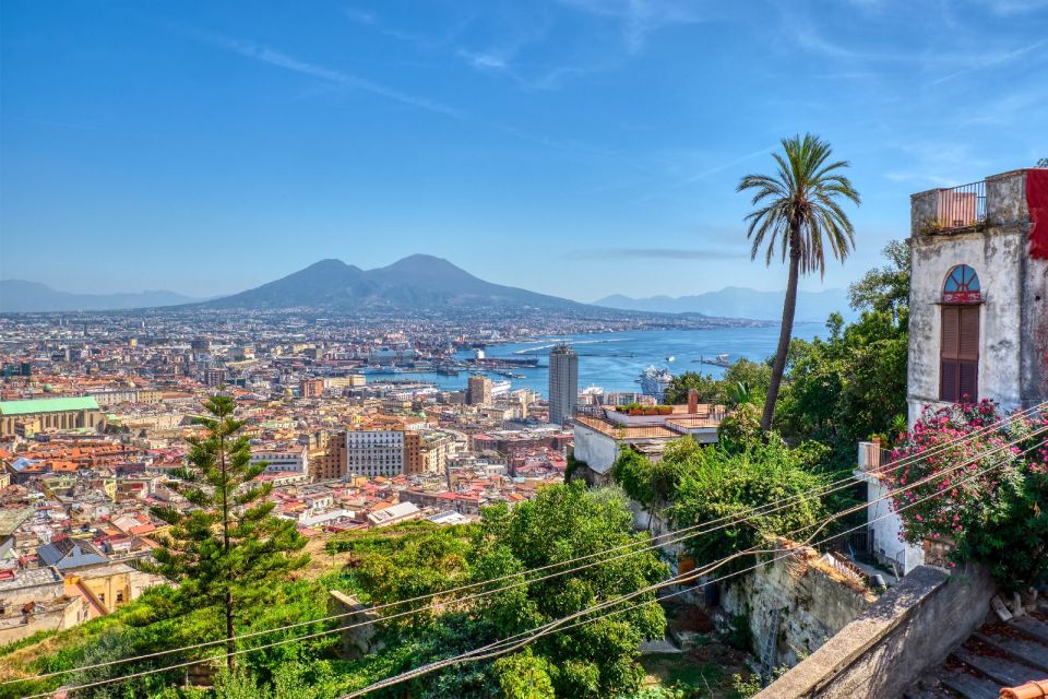 From Naples: Private Transfer to Florence - Suitability and Important Information