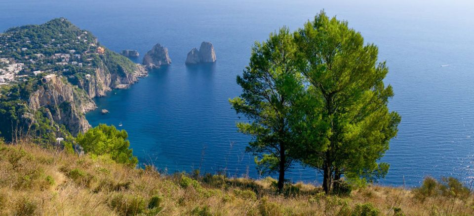 From Napoli: Guided Private Tour to Capri - Important Information