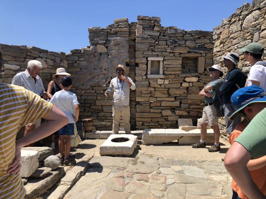 From Naxos: Delos and Mykonos Day Trip With Licensed Guide - Participant Requirements