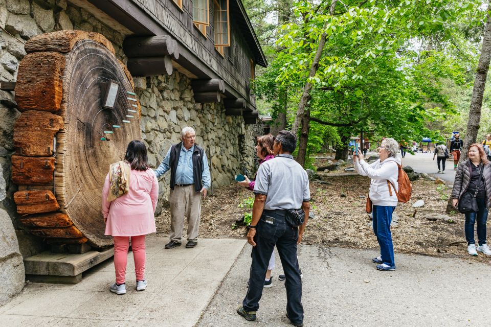 From San Francisco: Yosemite National Park Guided Day Trip - Customer Feedback