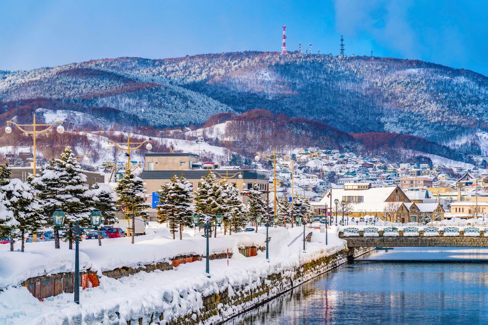 From Sapporo: 10-hour Customized Private Tour to Otaru - Service Details and Participant Information