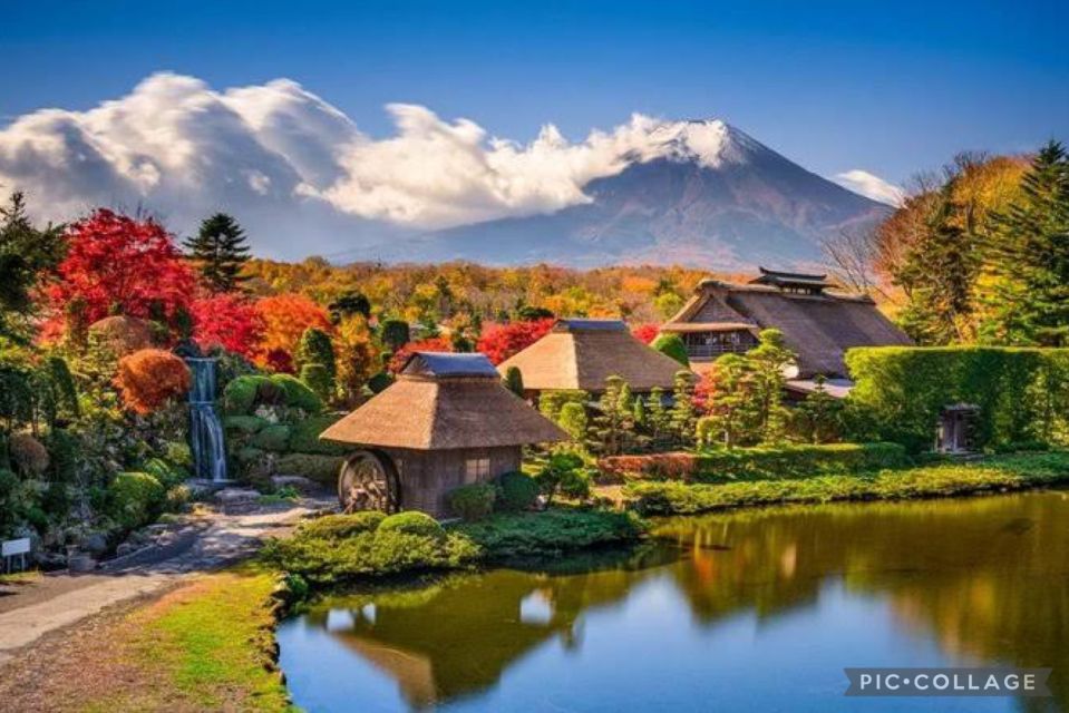 From Tokyo/Hakone/Fuji: Hakone & Mt. Fuji Day Trip W/Pickup - Full Itinerary Description