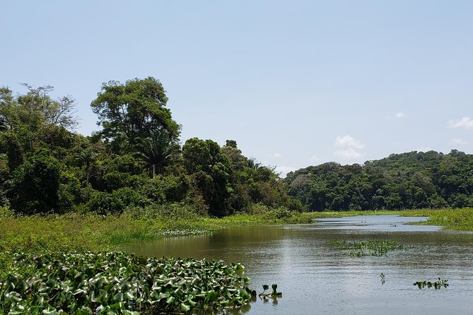 Full-Day Gatun Lake and Indian Village Tour From Panama City - Tips for a Memorable Experience