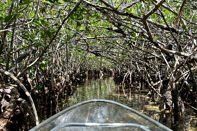 Guided Clear Kayak Eco-Tour Near Key West - Cancellation Policy