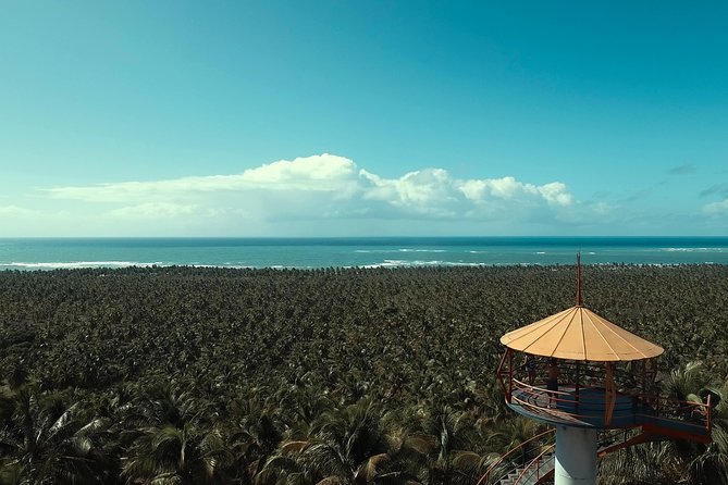 Gunga Beach - Leaving Maceió by WS Receptivo - Souvenir Shopping Opportunities