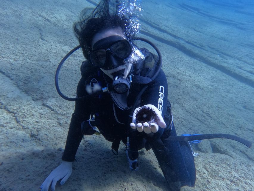 Heraklion: Afternoon Private Scuba Dive (Beginners) - Inclusions