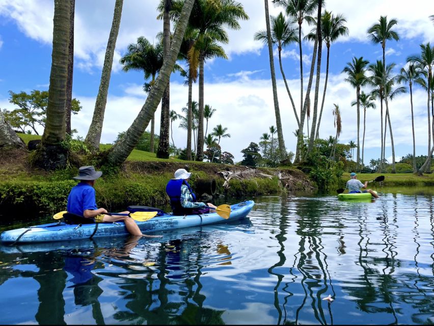 Hilo: Wailoa River to King Kamehameha Guided Kayaking Tour - Directions