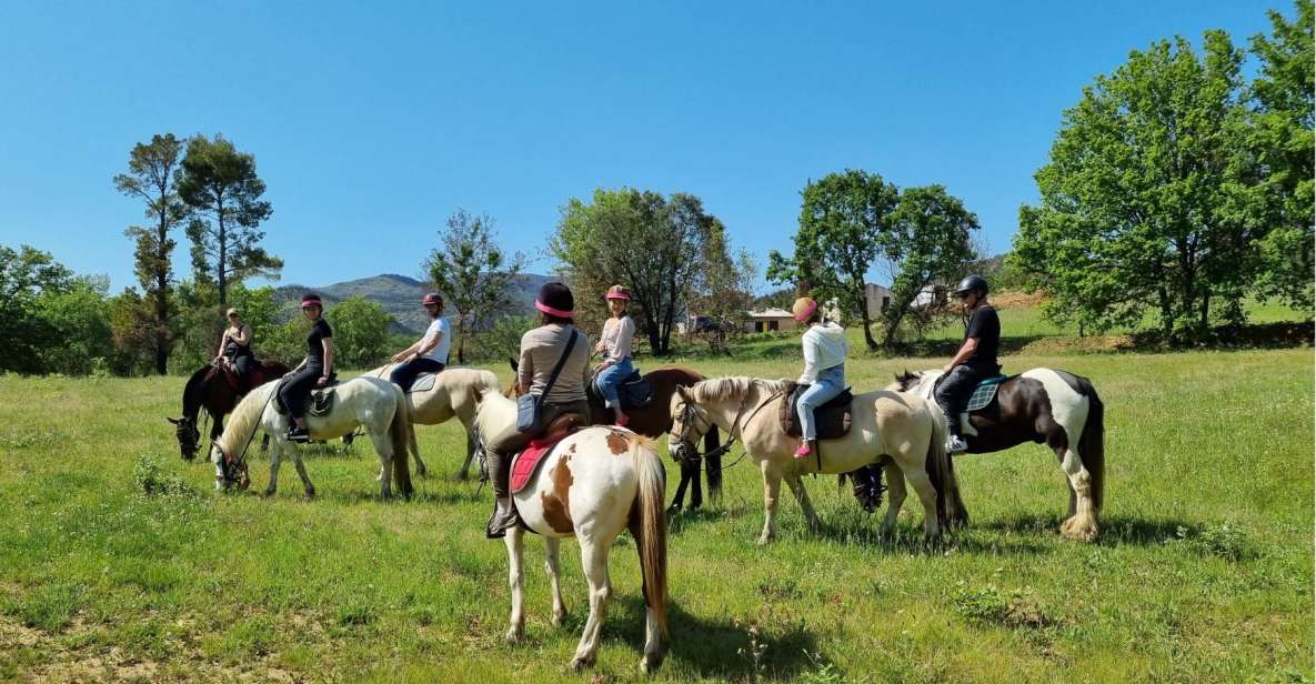 Horse Back Riding + Wine Tasting in the Maures Forest - Inclusions and Restrictions