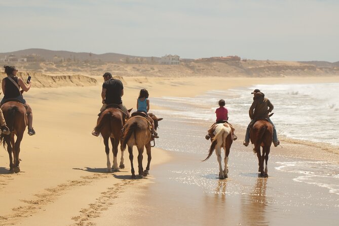 Horseback Riding Tour in Cabo San Lucas - Recommendations