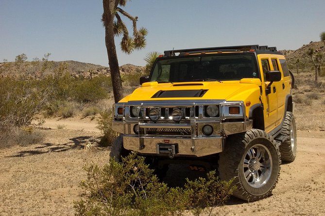 Joshua Tree National Park Scenic Tour - Tour Guides and Customer Experience