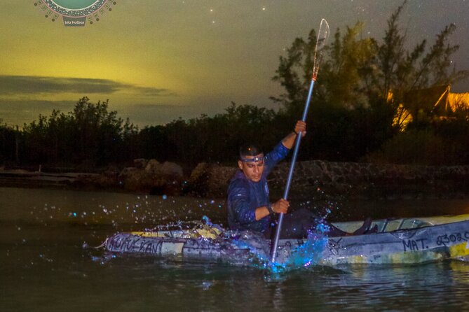 Kayak Experience and Swiming With the Bioluminescence in Holbox - Customer Experiences