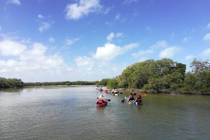 Kayak Experience in the Mangroves of Holbox - Visuals and Additional Information