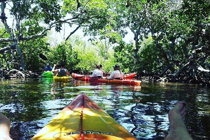 Key West Full-Day Ocean Adventure: Kayak, Snorkel, Sail - Staff Feedback