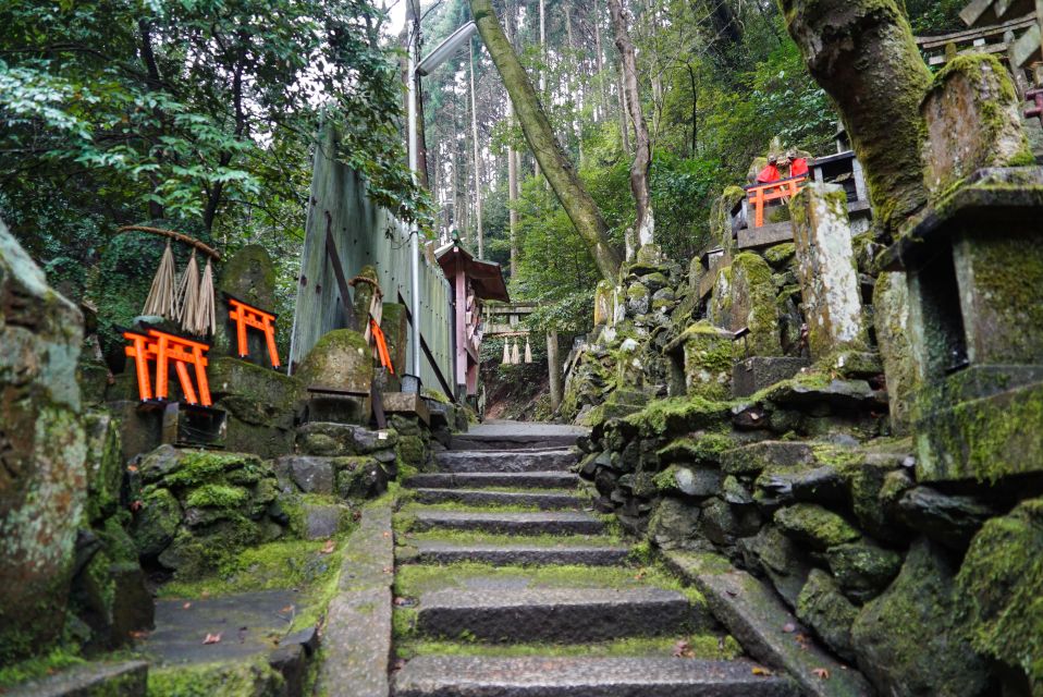Kyoto: 3-Hour Fushimi Inari Shrine Hidden Hiking Tour - Tour Description & Meeting Point