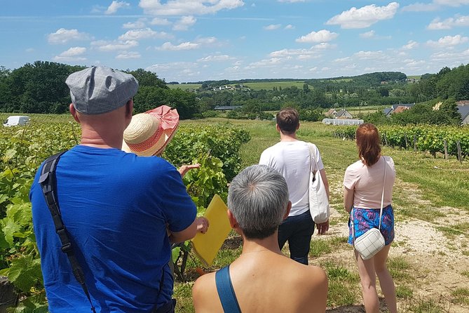 Loire Châteaux and Vouvray Small-Group Tour With Wine Tasting  - Tours - Vouvray Winery Wine Tasting