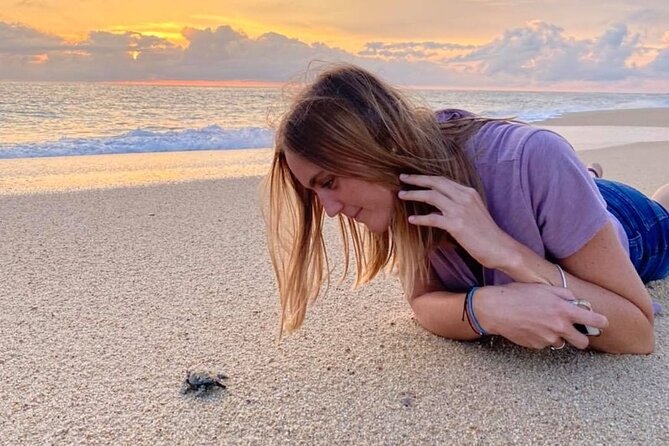 Los Cabos Turtle Release Conservation Program - Challenges in Turtle Conservation