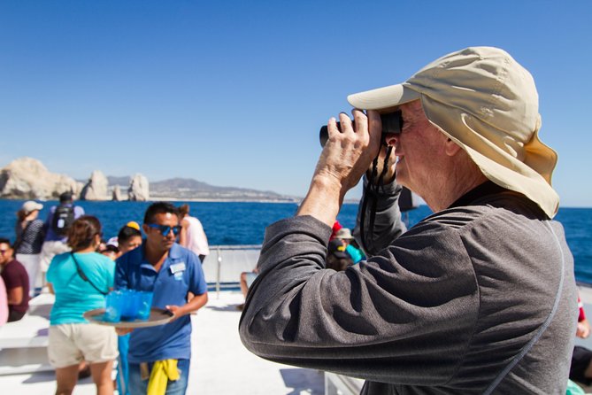 Los Cabos Whale Watching Cruise Including Breakfast - Customer Experience & Recommendations