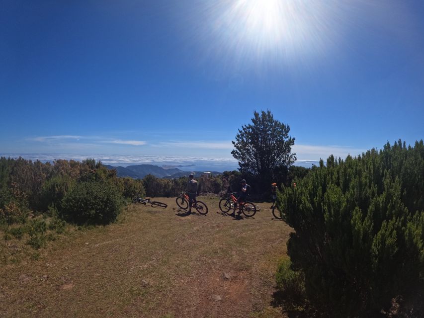 Madeira Cross Country Tour Mountain Bike Experience - Experience Description