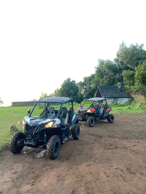 Madeira: Private Off-Road Buggy Driving Experience - Customer Reviews