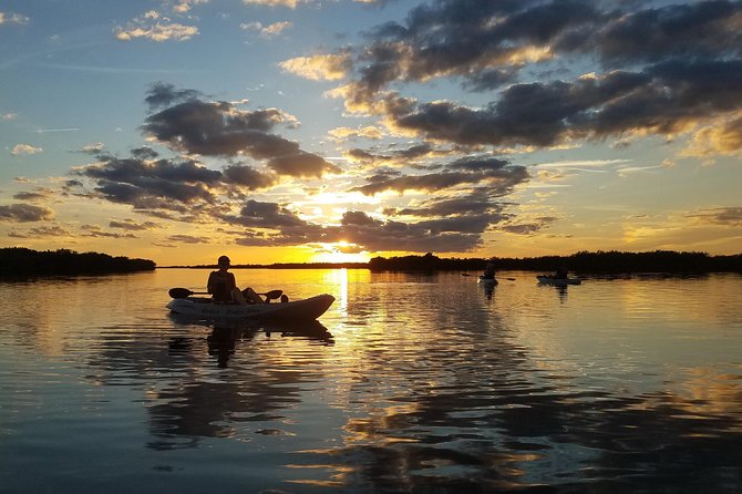 Mangrove Tunnels, Manatee, and Dolphin Sunset Kayak Tour With Fin Expeditions - Booking Process