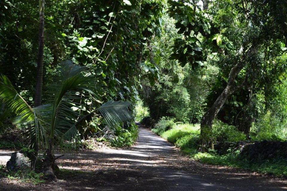Maui: Iao Valley, Tropical Plantation & Lavender Farm Tour - Tour Logistics