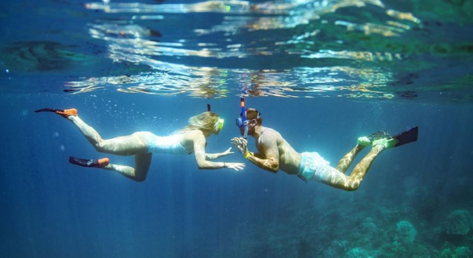 Maui: Kaanapali Beach Snorkel W/ Breakfast and Lunch - Customer Reviews