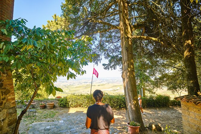 Montalcino, Orcia Valley, Pienza Wine and Cheese From Florence - Culinary Delights