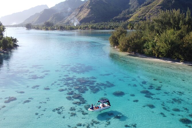 Moorea Half Day Private Tour With Snorkeling and Cruising the Lagoon - Pricing Details