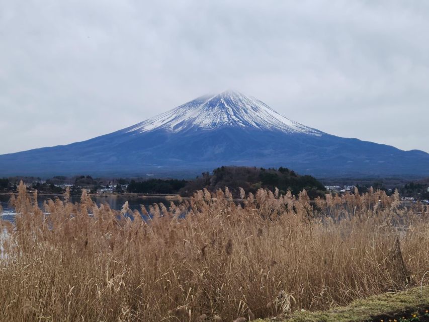 Mt Fuji and Hakone Private Tour With English Speaking Driver - Final Words