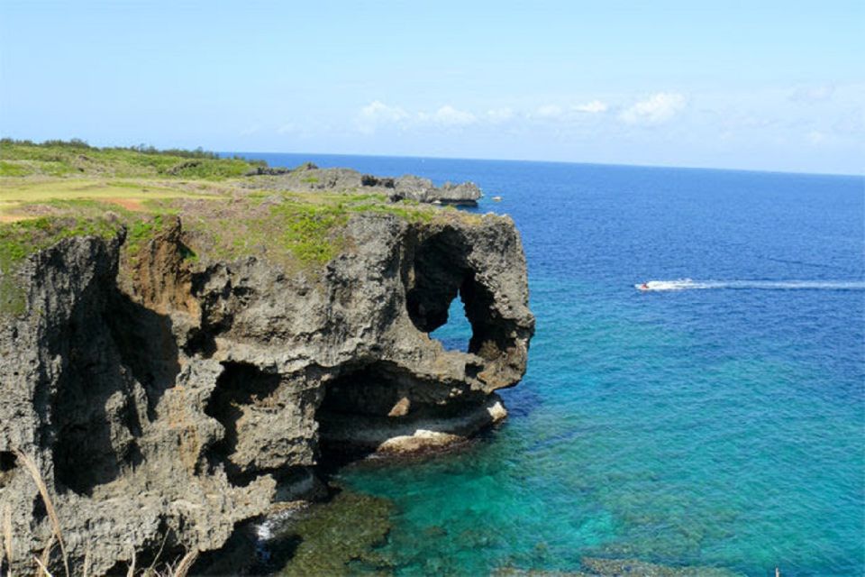 Naha: North Okinawa Sightseeing Tour & Churaumi Aquarium - Visitor Reviews