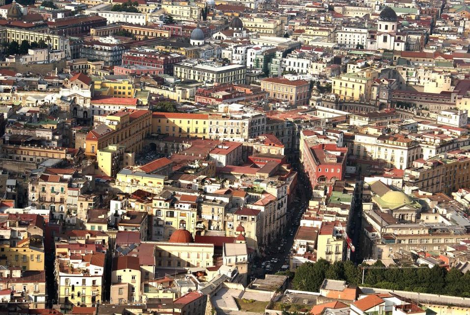 Naples Private 8 Hour Tour From Sorrento - Inclusions