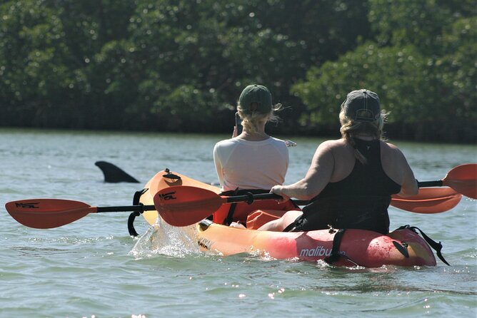 Nauti Exposures - Guided Kayak Tour Through the Mangroves - Booking Details