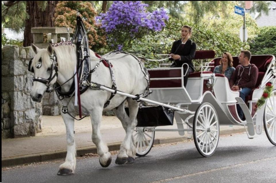 NYC: Guided Central Park Horse Carriage Ride - Booking Information