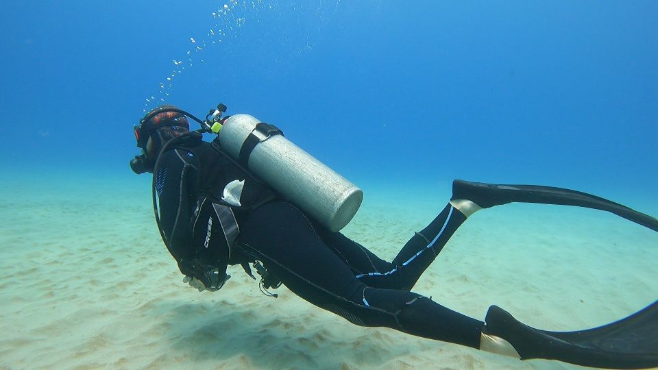 Oahu: Try Scuba Diving From Shore - Tour Details